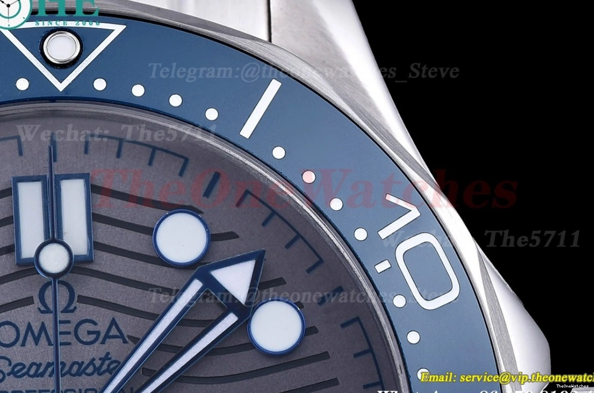 Seamaster GDF SS MY8215+Free 42mm 300m Nylon SS Grey Strap 0108